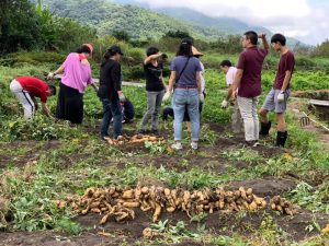 團體活動｜八煙秘境DIY採收體驗｜【新北】