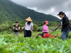 團體活動｜八煙秘境生態旅行｜【新北】