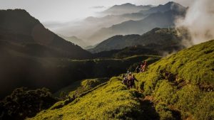 登山