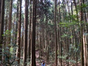 登山｜一日登山課程 – 高島縱走｜【新竹】