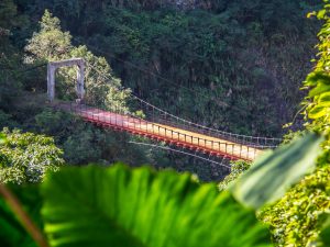 登山｜太魯閣文山綠水步道｜【花蓮】