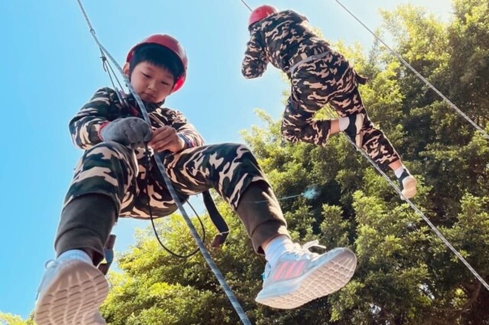 探索 12 月 14 日的星座界限：射手座与摩羯座的交汇点